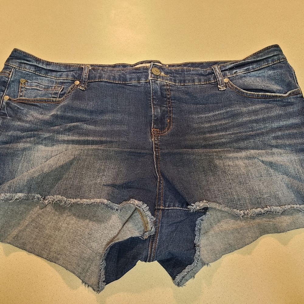 TORRID size 22 Shorts